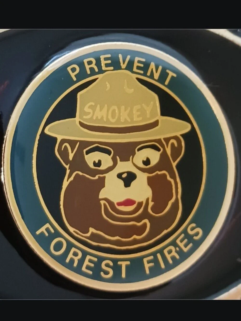 VTG Smokey Bear Prevent Forest Fires Enamel Solid Brass Belt Buckle